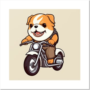 Bulldog riding a Bike Posters and Art